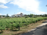 Wine tourism in Spain